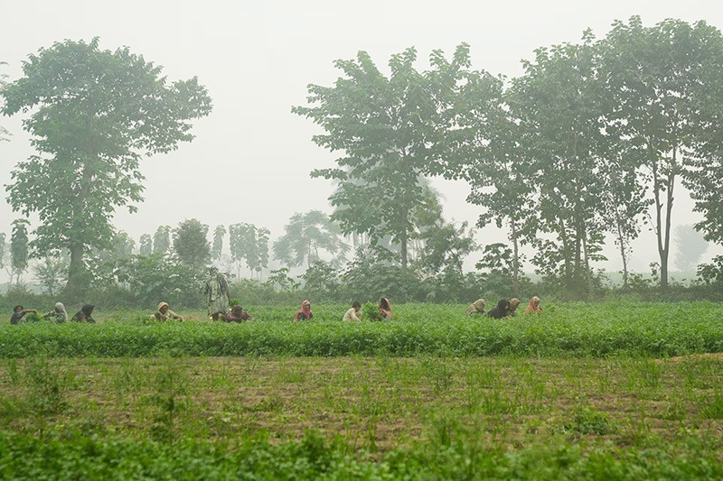 nguoi-pakistan-ngat-tho-vi-khoi-bui-doc-hai-010.jpg