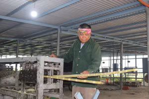 Cựu chiến binh Nguyễn Văn Khôi thu tiền tỷ mỗi năm nhờ trồng mía, làm điện mặt trời.