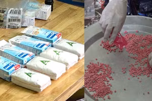 Quá trình đấu tranh chuyên án đã thu giữ được 29.600 viên ma túy tổng hợp dạng hồng phiến.