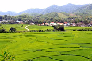Đến với bài thơ: 'Đừng quên nghe em'