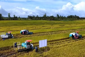 Doanh nghiệp, hiệp hội chung tay giữ nhịp sản xuất nông nghiệp