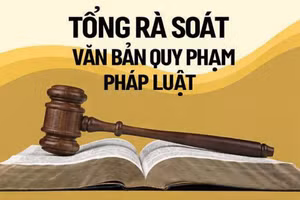 Ban hành Kế hoạch triển khai tổng rà soát hệ thống văn bản quy phạm pháp luật
