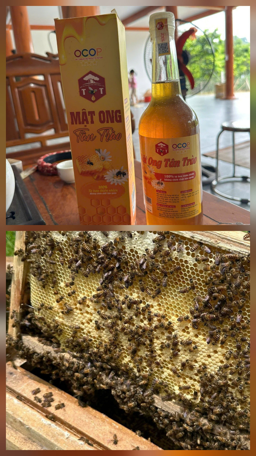 Từ ong rừng thành sản phẩm OCOP 3 sao mang hiệu quả kinh tế cao. 1000042597.jpg