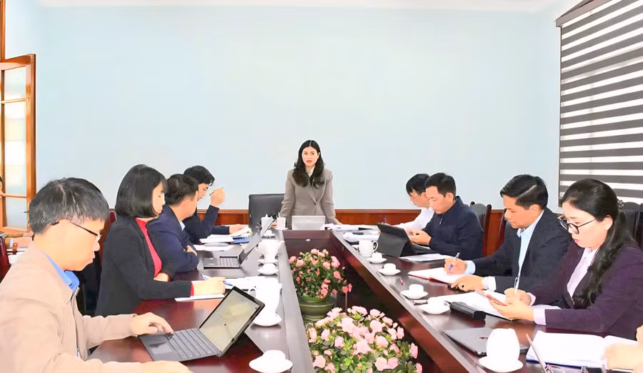 Bà Vương Ngọc Hà, Phó Chủ tịch UBND tỉnh Tuyên Quang phát biểu tại cuộc họp. (Ảnh: Tố Mai)