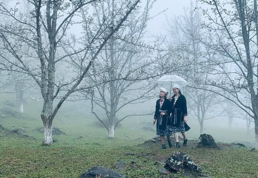 Vẻ đẹp hấp dẫn của thiên nhiên mỗi độ Xuân về.