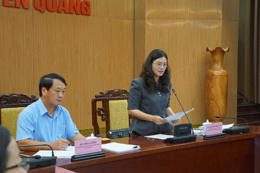 Bà Vương Ngọc Hà, Phó Chủ tịch UBND tỉnh Tuyên Quang tham gia phát biểu tại hội nghị. dsc06188.jpg
