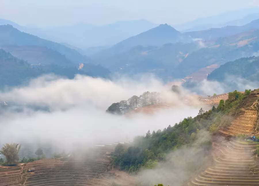 Danh thắng ruộng bậc thang Mù Cang Chải được xếp hạng là Di tích quốc gia Đặc biệt năm 2019. (Ảnh: A Giàng)