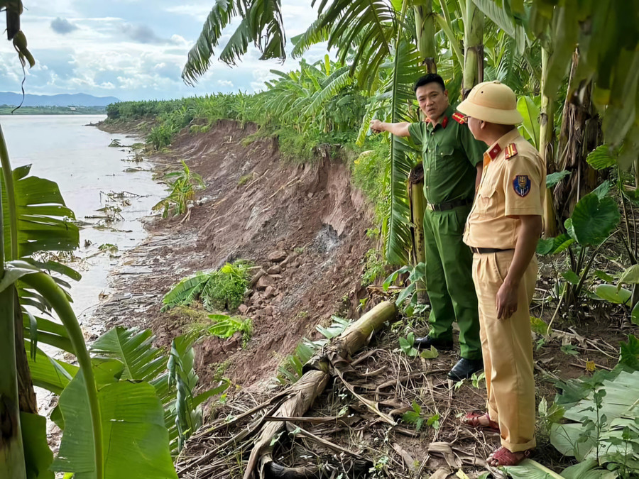 Sạt lở trên tuyến sông Hồng tại Phú Thọ chỉ cách nhà dân vài chục mét.