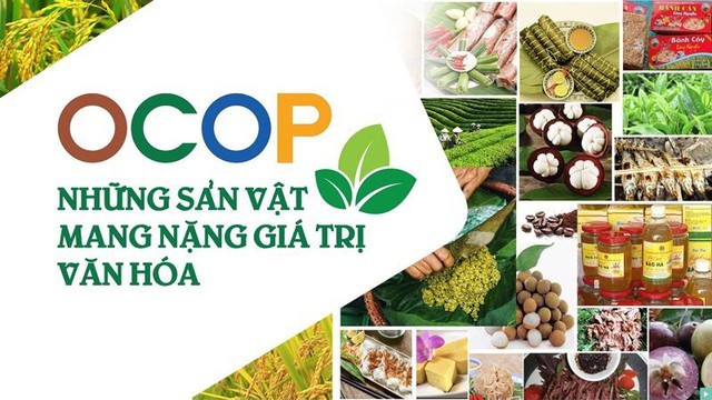 Chương trình "Mỗi xã một sản phẩm" (OCOP) được triển khai hiệu quả tại Tuyên Quang. 1000042920.jpg