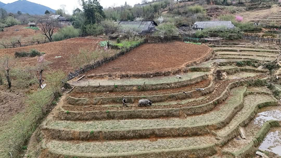 Văn hóa đa dạng, sự pha trộn trong kiến trúc, thói quen sinh hoạt và ẩm thực đặc trưng. 1000032328.jpg