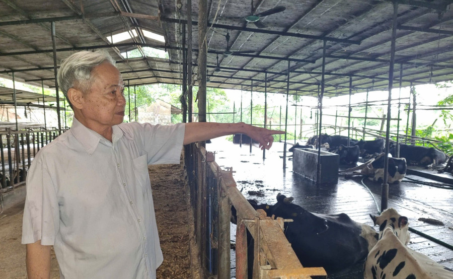 Lão nông dám nghĩ dám làm, lan tỏa giá trị cho bản thân và cộng đồng. 1000042613.jpg