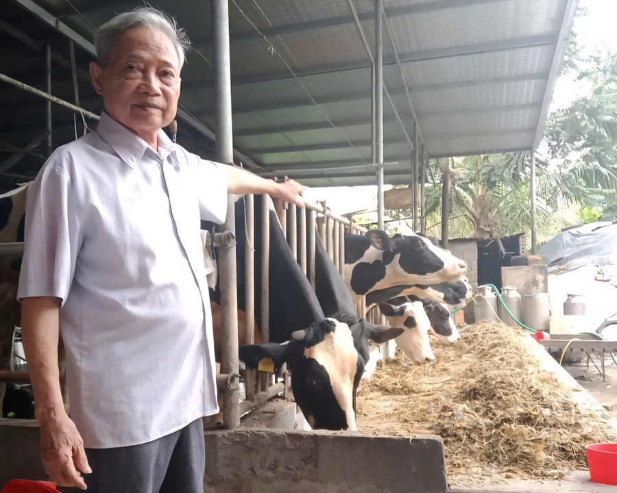 Ông Chu Văn Sâm bên trang trại bò sữa của gia đình. (Ảnh: Thiên Long)