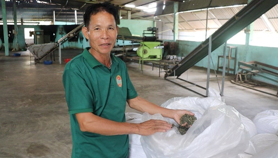 Người dân tổ dân phố Mỹ Bình phấn khởi khi HTX bao tiêu đầu ra ổn định cho bà con. 1000042522.jpg