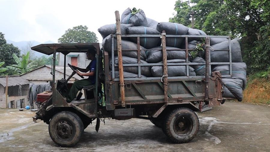 HTX Hải Đăng liên kết với các hộ nông dân. 1000042521.jpg