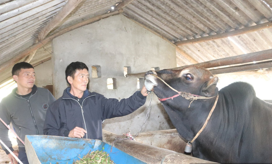 Thay đổi tư duy, người dân đang từng bước chuyển mình.