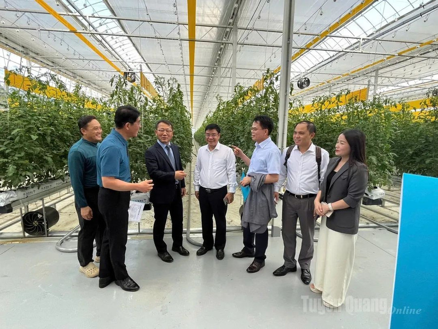 Đoàn Đại biểu tỉnh Tuyên Quang gặp gỡ lao động tại Hàn Quốc. 1000042895.jpg