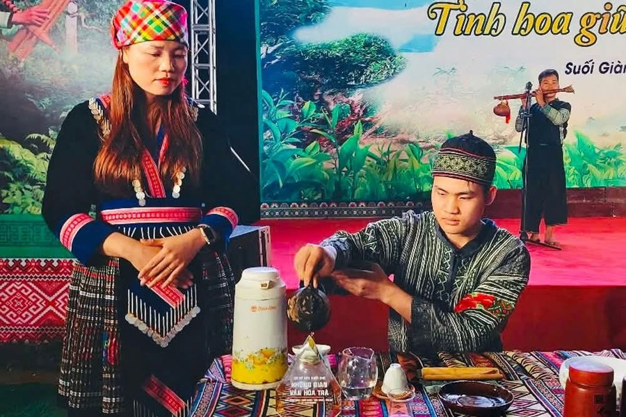 Trà Shan tuyết Suối Giàng được xem là "vàng xanh" giữa đại ngàn.