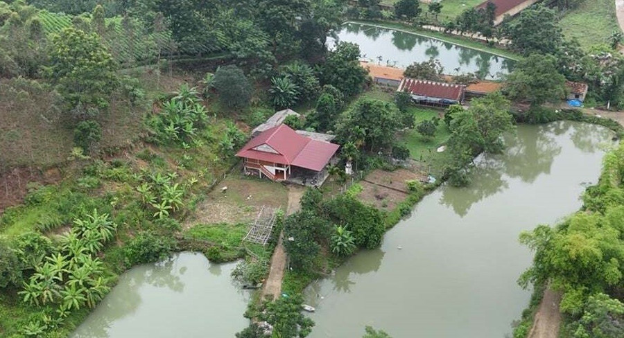 Mô hình kinh tế tổng hợp của hội viên nông dân Nguyễn Tiến Dũng, ở tổ dân phố Mỹ Bình, phường Mỹ Lâm, tỉnh Tuyên Quang. 112849dung-3-1121.jpg