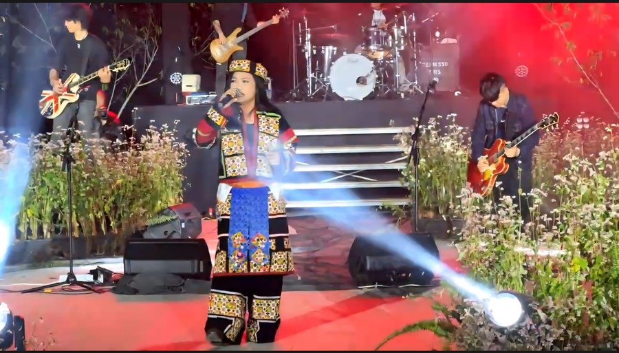 Ca sỹ Phương Thanh khuấy động sân khấu với màn biểu diễn của mình.