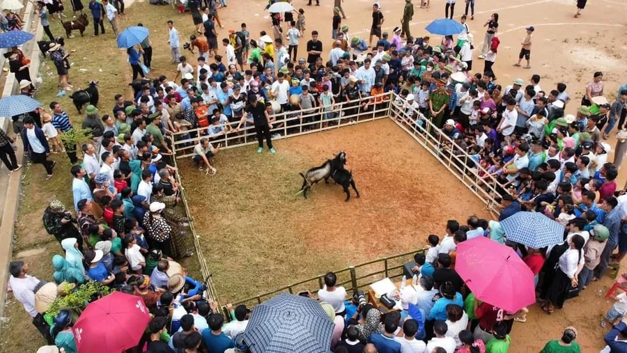 Một trò chơi dân gian tại lễ hội Pay Tái hàng năm.