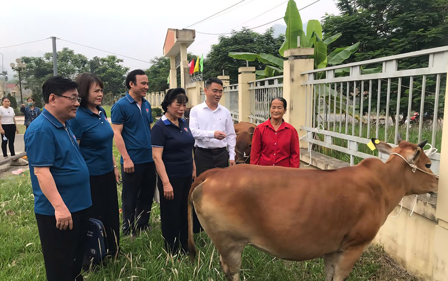 Hỗ trợ sinh kế cho người yếu thế phát triển kinh tế. (Ảnh: Minh Thủy)