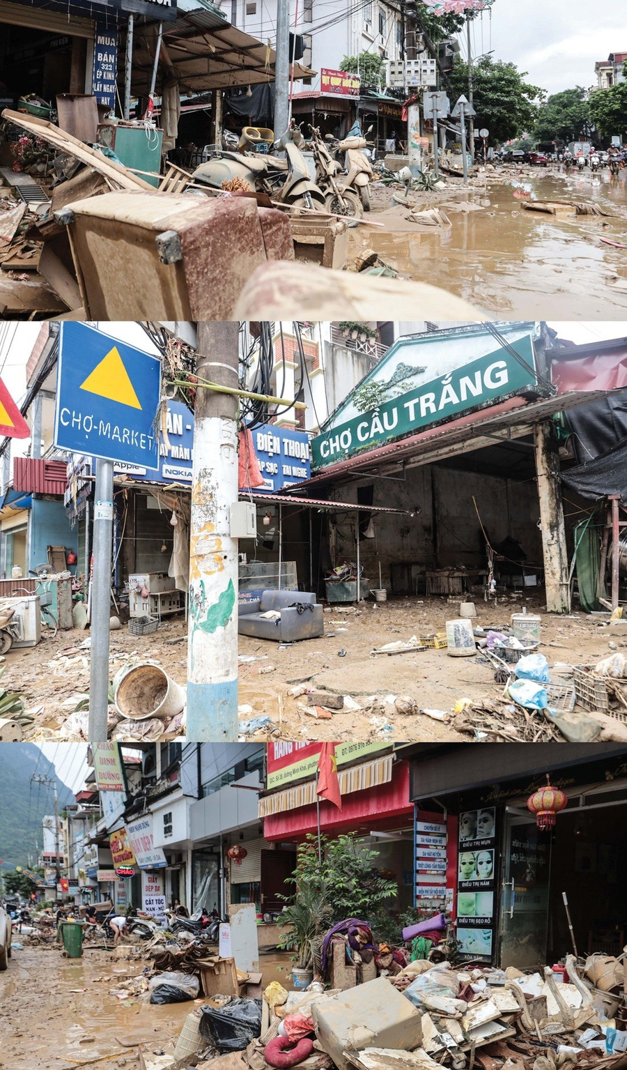 Cảnh tượng hoang tàn. 1000042410.jpg