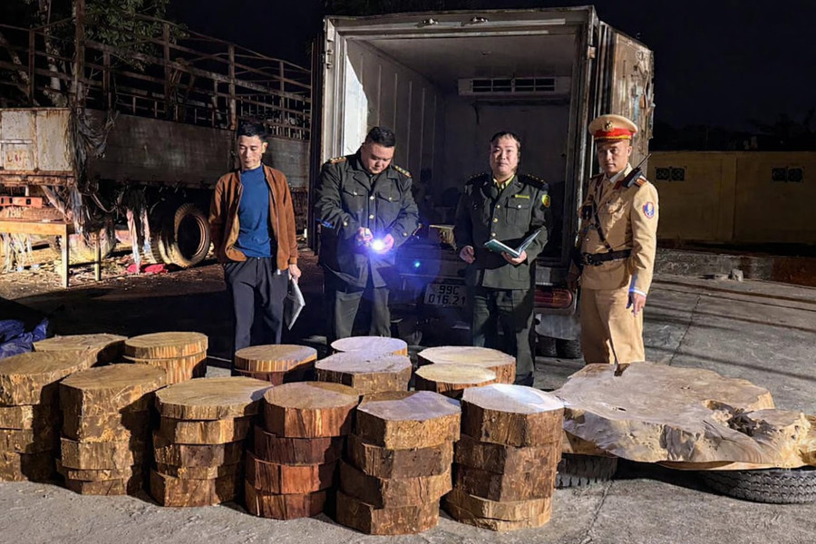 Khối lượng gỗ quý bị phát hiện, thu giữ. (Ảnh: CATQ)