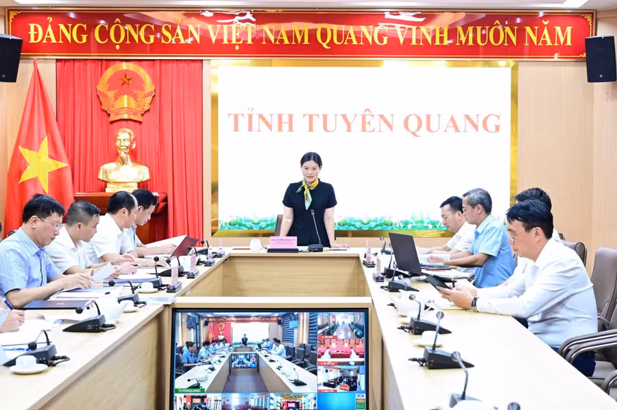 Bà Vương Ngọc Hà, Phó Chủ tịch UBND tỉnh Tuyên Quang chủ trì cuộc họp.