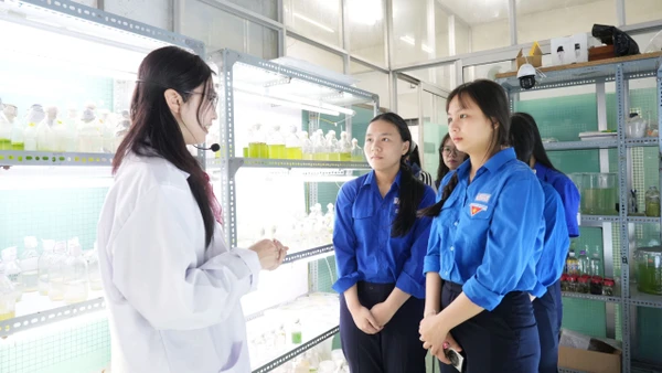 Sinh viên Trường Đại học Sư phạm (Đại học Đà Nẵng) thực hành tại phòng thí nghiệm. Ảnh: Website nhà trường