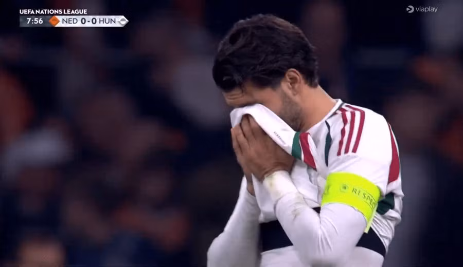 netherlands-hungary-suspended4.jpg