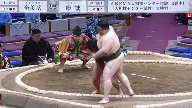 sumo.jpg