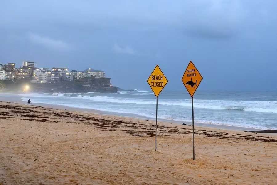 Biển báo cảnh báo cá mập trên một bãi biển ở Úc.