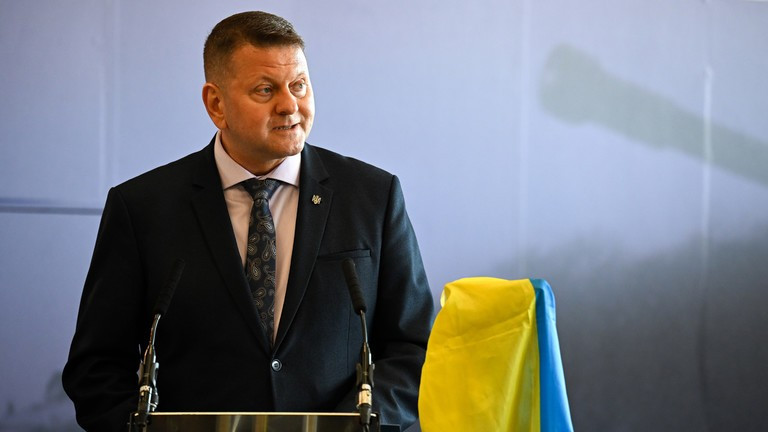 Đại sứ Ukraine tại Vương quốc Anh, Valery Zaluzhny.