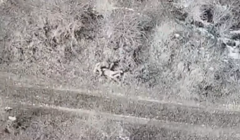 Lính Nga cứu tù binh Ukraine thoát chết khỏi cuộc tấn công bằng UAV.