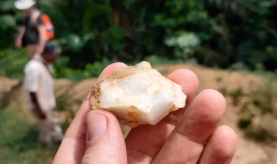 Một trong những công cụ bằng đá được thu hồi từ khu rừng nhiệt đới của Bờ Biển Ngà.