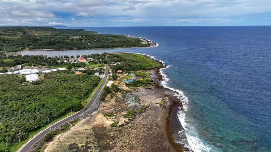 Nhiều loài cây bản địa ở Guam hiện đang phải vật lộn để sinh sản vì chúng phụ thuộc vào chim để phát tán hạt giống. chim.jpg