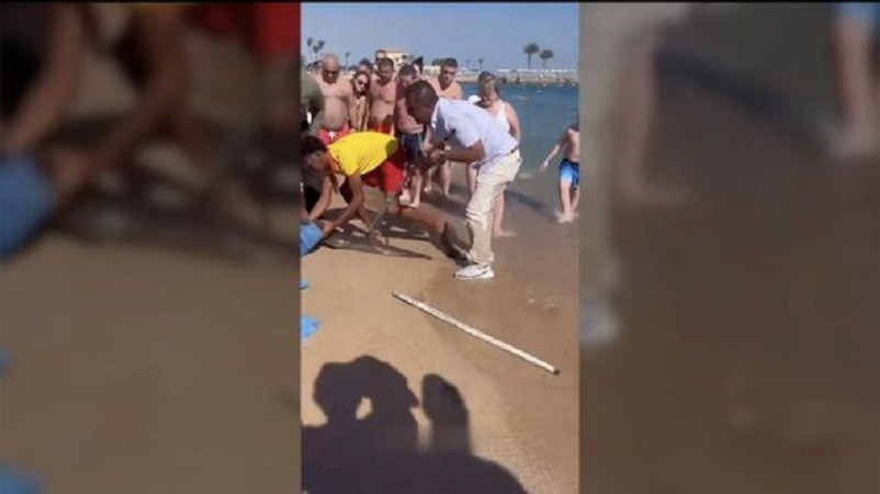 Nhân viên khách sạn vật lộn bắt con cá chình tấn công du khách Nga khiến người này phải nhập viện, ngày 24/12/2025.