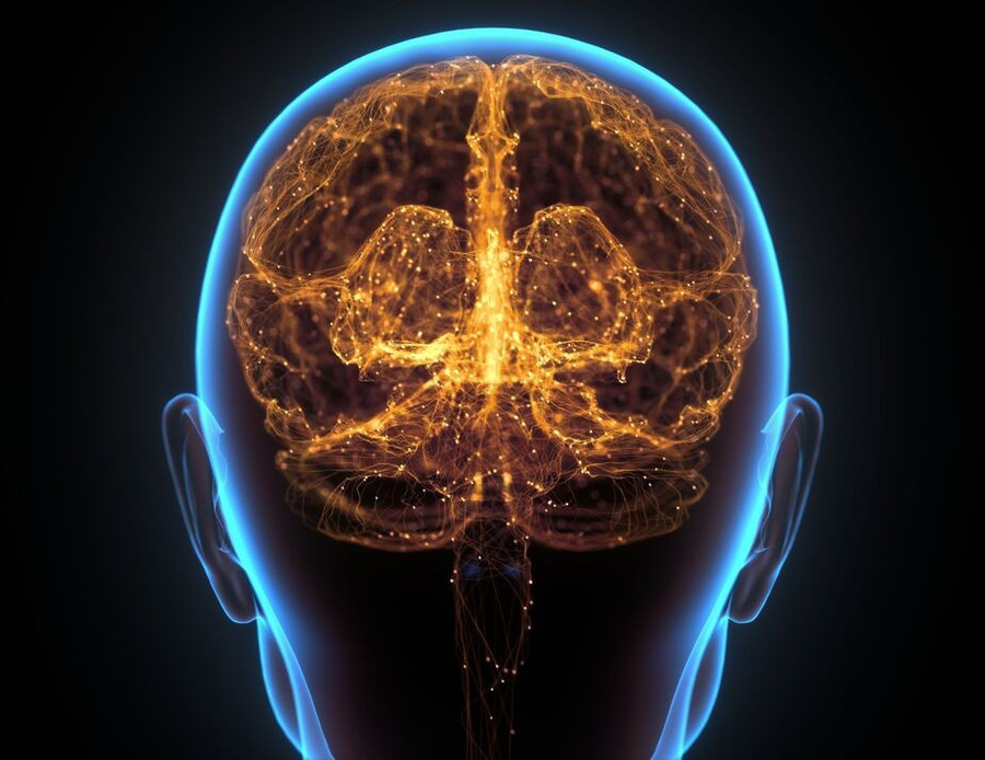 Các nhà nghiên cứu đã phát hiện ra manh mối mới về các dấu hiệu ban đầu của bệnh Alzheimer.