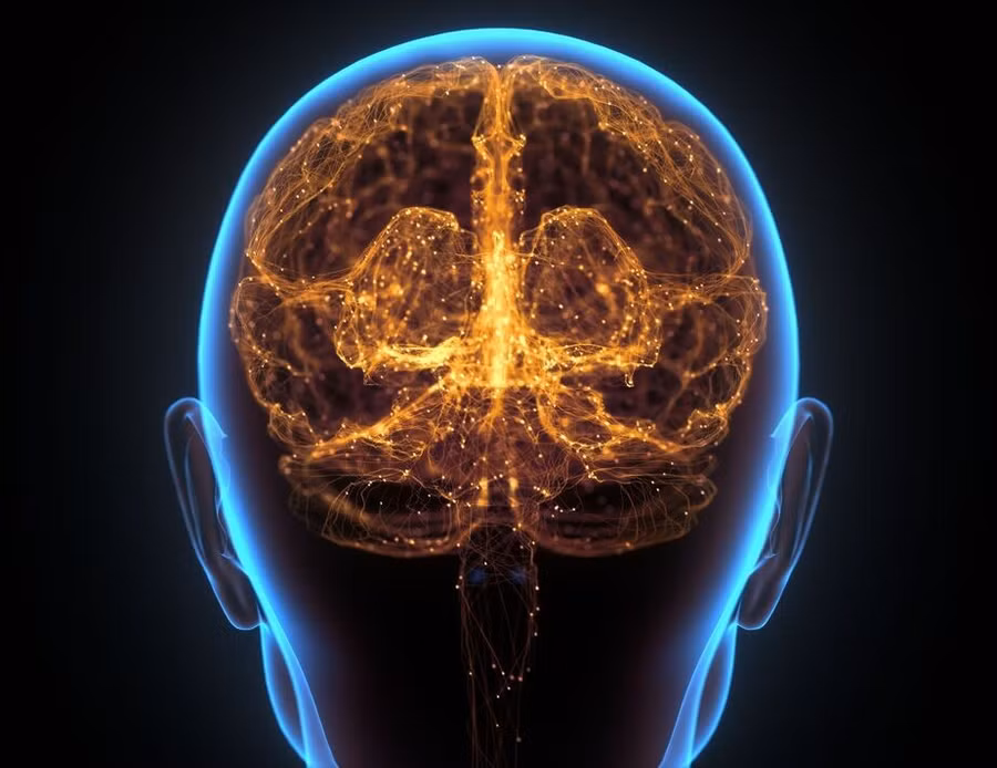 Các nhà nghiên cứu đã phát hiện ra manh mối mới về các dấu hiệu ban đầu của bệnh Alzheimer.