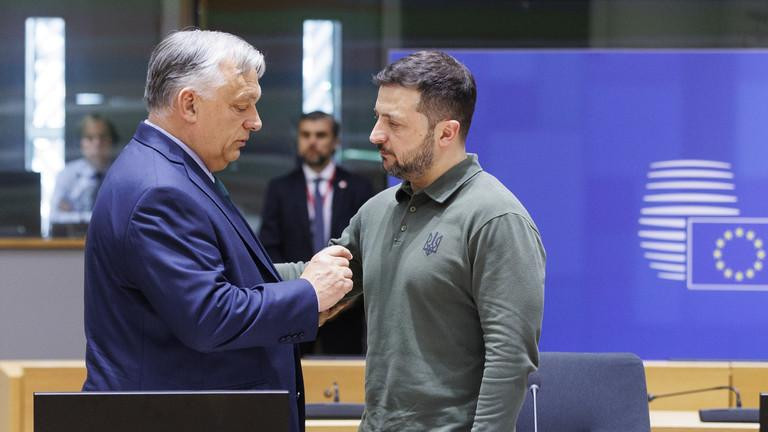 Thủ tướng Hungary Viktor Orban (trái) và Tổng thống Ukraine Vladimir Zelensky