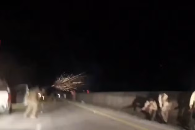 Đụng độ xảy ra giữa những người ủng hộ Tổng thống bị lật đổ Bashar al-Assad và HTS - lực lượng nắm quyền ở nước này vào tháng 12/2024.