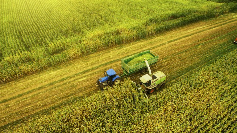 155 công dân Nga có tên trong danh sách tỷ phú thế giới năm 2026 của Forbes.