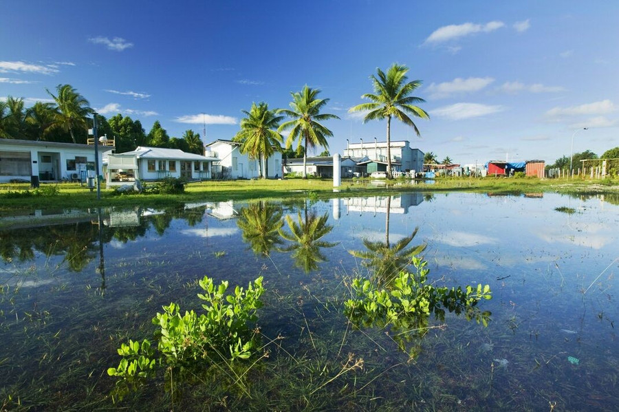 Tuvalu có thể bị biển nhấn chìm trong nhiều thập kỷ. nhan-chim.jpg