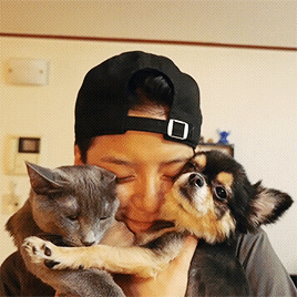 Ngắm bộ sưu tập thú cưng đình đám của loạt idol Kpop ảnh 3