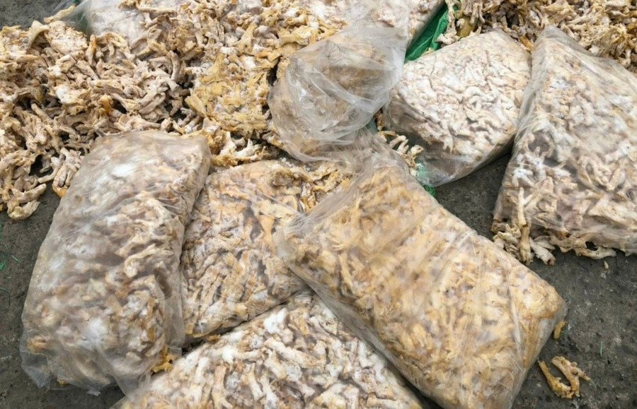 Số chân gà bị bắt giữ.