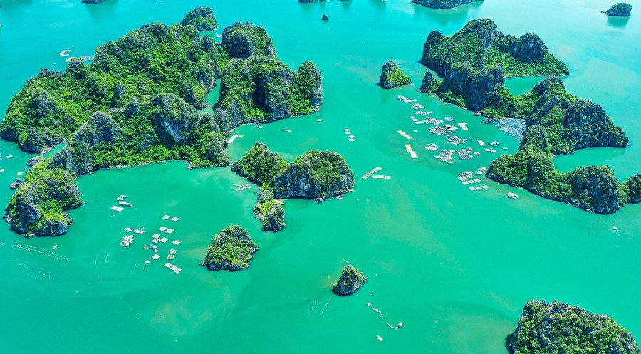 Vịnh Bái Tử Long.