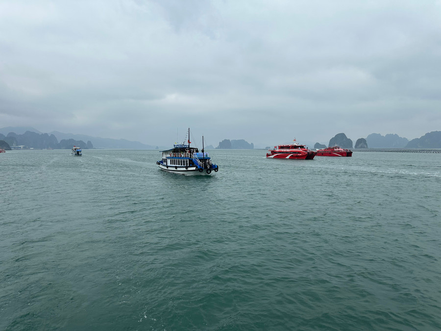 Vịnh Bái Tử Long.