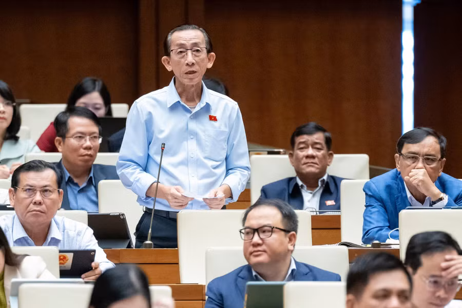 Đại biểu Trần Hoàng Ngân (Đoàn ĐBQH TPHCM).