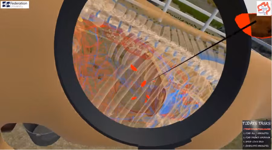 Mô hình hóa vòng đời sinh học của sán lá gan lớn (Fasciola spp.) bằng công nghệ thực tế ảo (ảnh cắt từ clip).