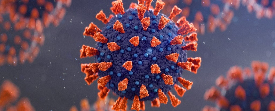 Nhiễm trùng kéo dài cho phép virus khám phá các cách lây nhiễm tế bào hiệu quả hơn. Ảnh minh hoạ. 